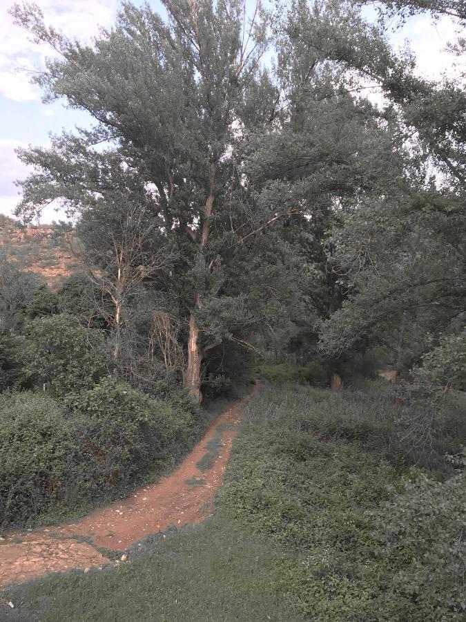 דירות Olba La Casa De La Acacia מראה חיצוני תמונה
